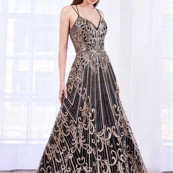 V-Neck A-Line Shape Evening Dress CDJ9790 - Picture 2 of 5